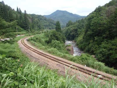 写真1