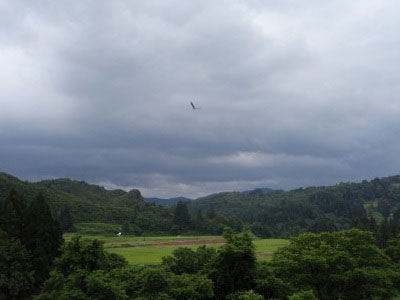写真2