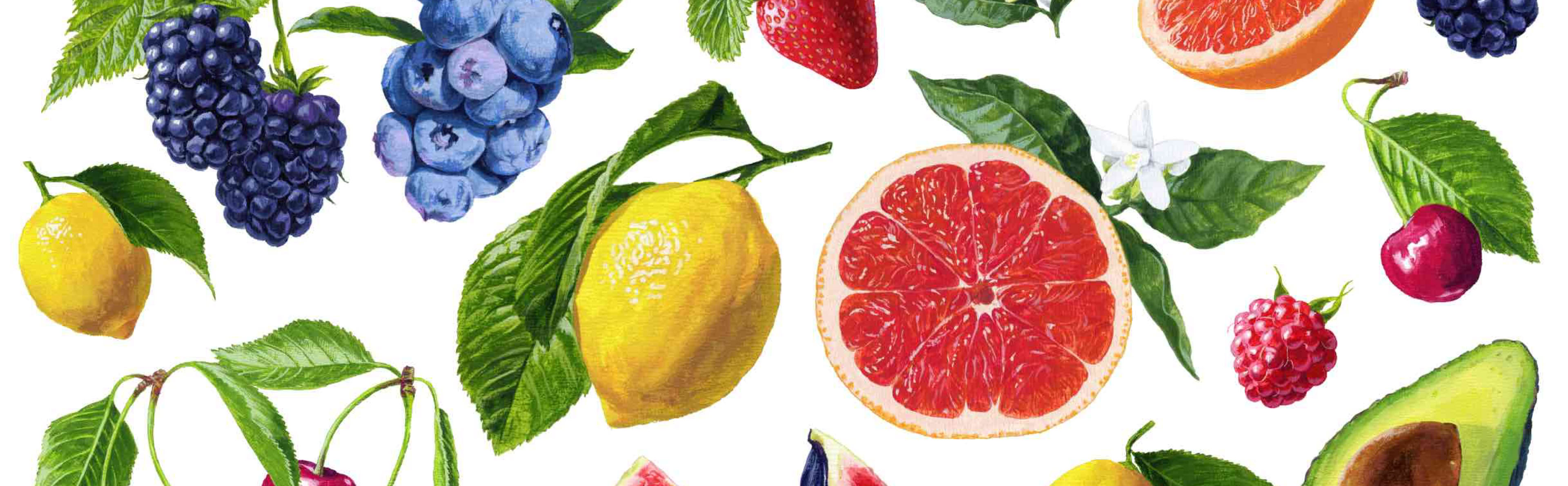 イラスト アメリカンチェリー , レモン , アボカド イラスト うえむらのぶこ