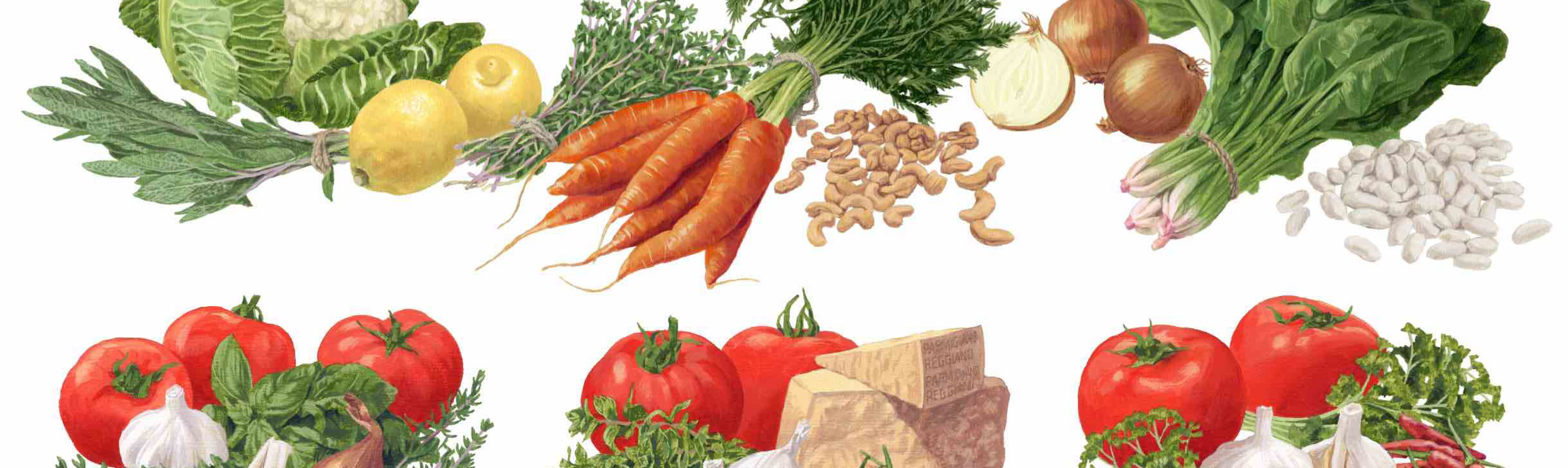 イラスト イラスト 人参とカシューナッツのスープ , カリフラワーとレモンのスープ , ほうれん草と白いんげん豆のスープ , マリナーラパスタソース , ブッタネスカパスタソース , アラビアータパスタソース